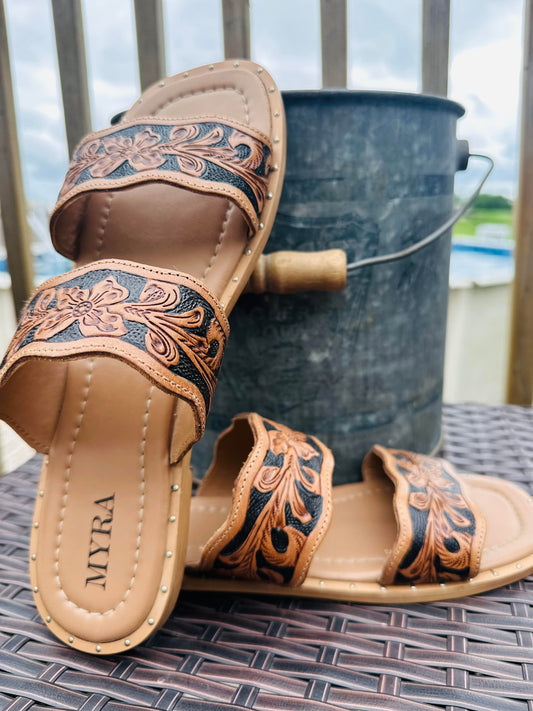Santa Fe Daisy Myra slides